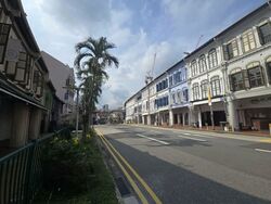 Tanjong Pagar Conservation Area (D2), Shop House #558253041